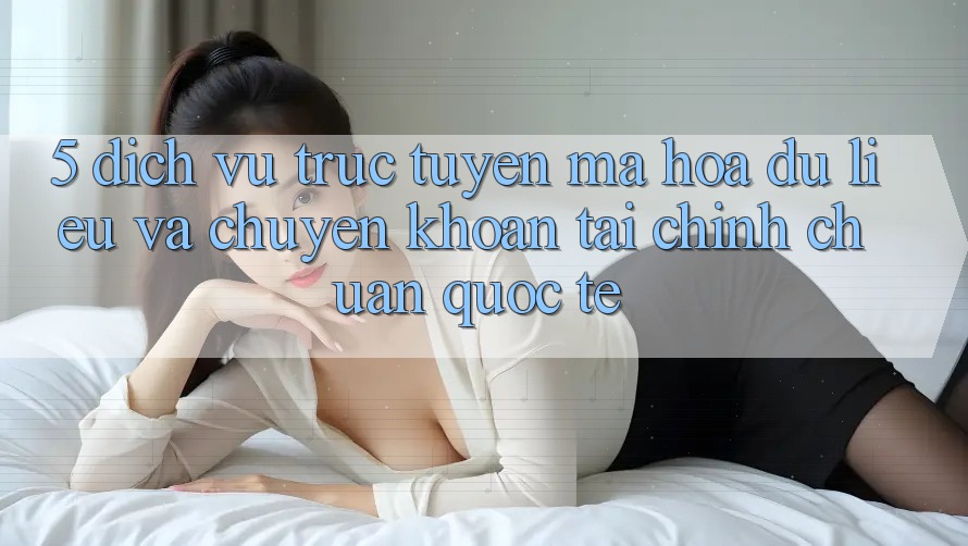 5. Dịch vụ trực tuyến Mã hóa dữ liệu Và Chuyển khoản Tài Chính Chuẩn Quốc Tế