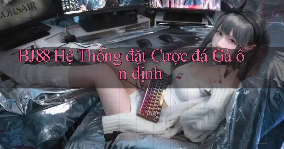 bj88  hệ thống đặt cược đá gà ổn định