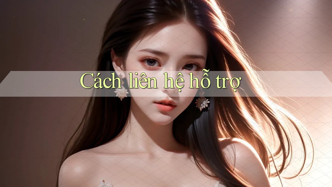 Cách liên hệ hỗ trợ