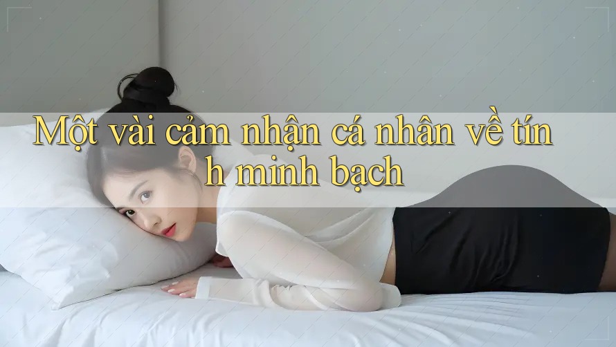 Một vài cảm nhận cá nhân về tính minh bạch