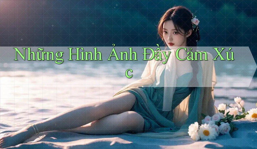 Những Hình Ảnh Đầy Cảm Xúc