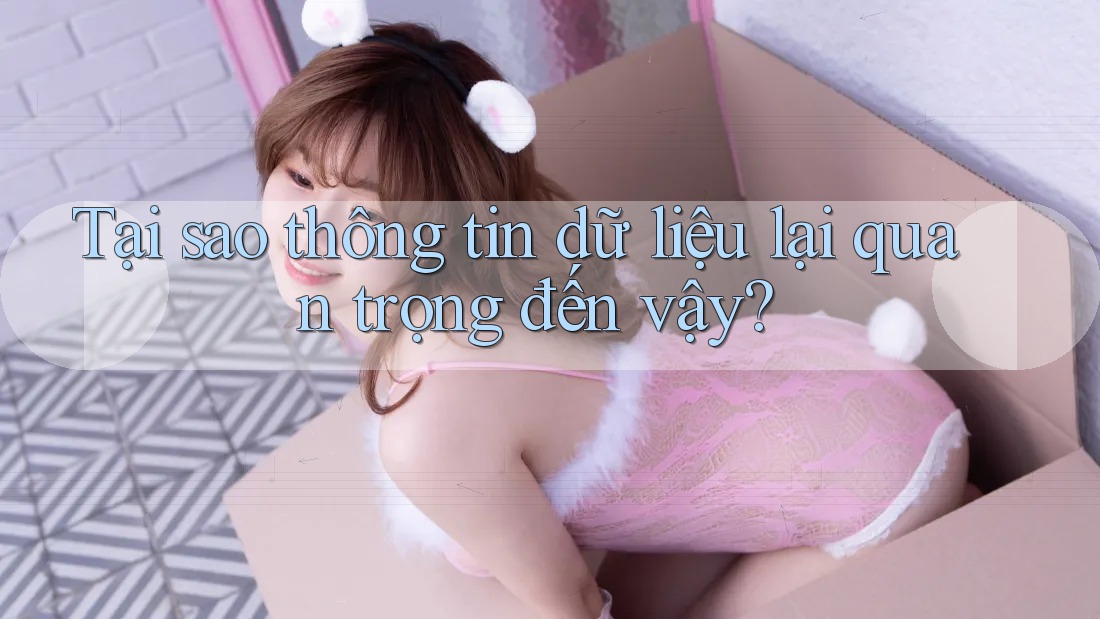 Tại sao thông tin dữ liệu lại quan trọng đến vậy?
