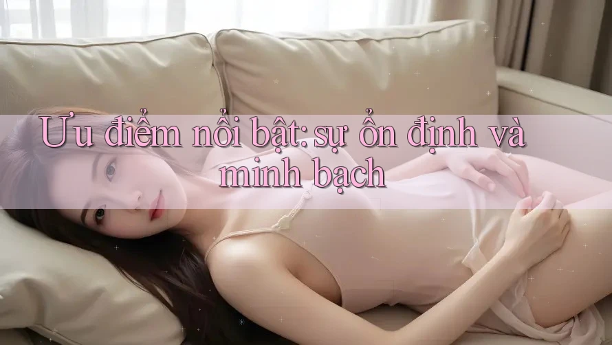 Ưu điểm nổi bật: sự ổn định và minh bạch